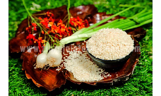 Dehydrated White Onion Minced