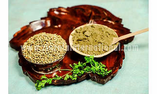 Coriander Powder