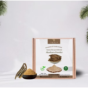 Anacyclus pyrethrum Akarkara Powder Pellitory Organic Indian 100gm