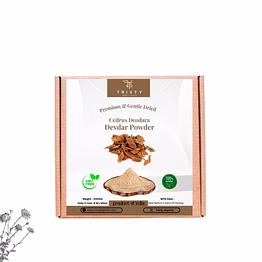 cedar wood devdar powder pure organic indian free shipping 100gm