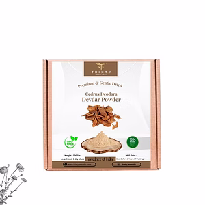 Cedar Wood Devdar Powder Pure Organic Indian Free Shipping 100gm