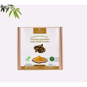 Curcuma aromatica Mango Ginger Amba Haldi Powder Pure Indian Origin 100gm