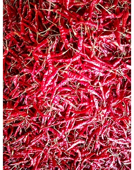 DRY RED CHILLI