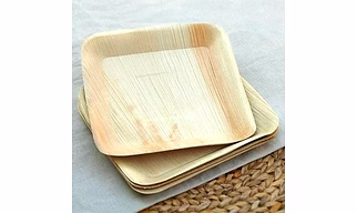 Elegant 10 Inch Disposable Dishes food and snacks serving small trays