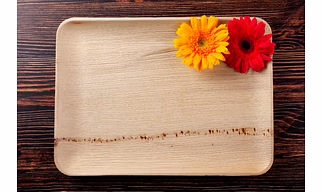 Eco Friendly Food serving tray 14.5x10.5 inch Disposable areca palm leaf  Food used