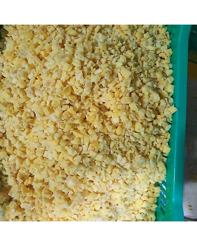 IQF Tender Jackfruit Dices-11544564