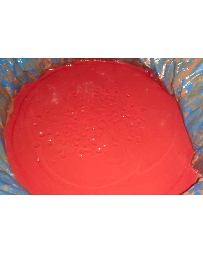 Fermented Red Chilli Paste-11544570