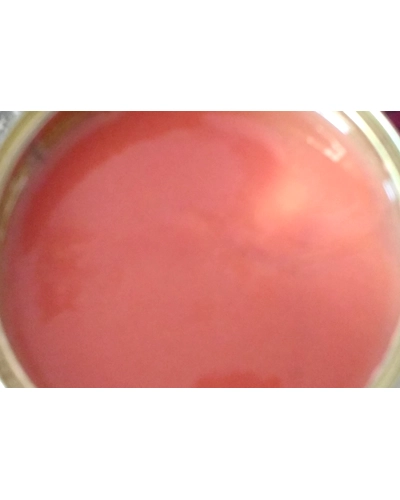 Pink Guava puree-11697212