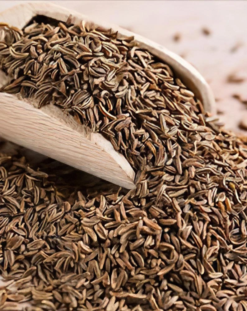 Cumin Seeds-1005