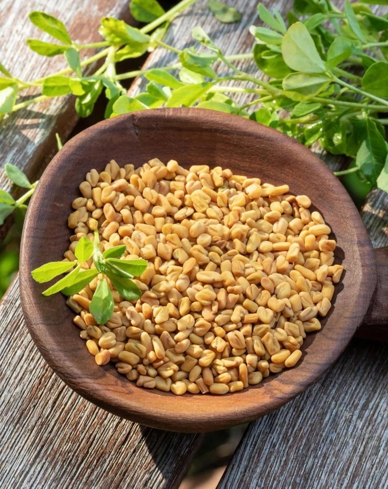 Fenugreek Seeds-1007