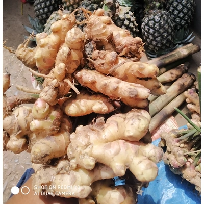 fresh ginger