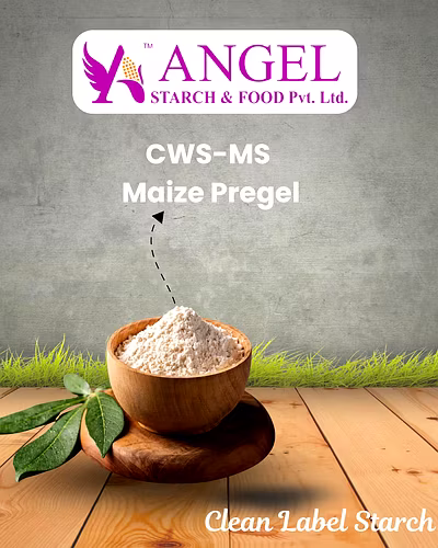 CWS-MS - Maize Pregel-2