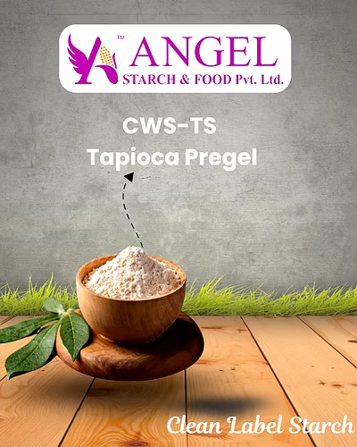 CWS-TS - Tapioca Pregel-2