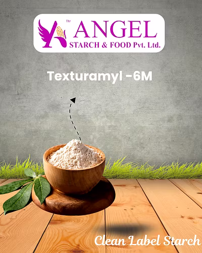 Texturamyl -6M - Clean Label Starch-2