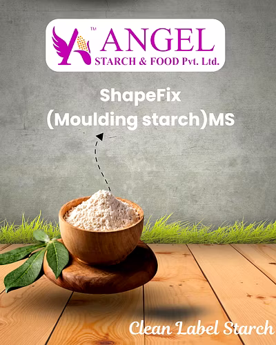 ShapeFix(Moulding starch)-MS - Clean Label starch-2