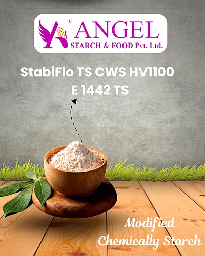 StabiFlo TS CWS HV1100  - E 1442 TS-2