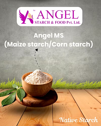 Angel MS(Maize starch/Corn starch)-2