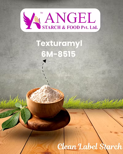 Texturamyl -6M-8515 - Clean Label Starch-2