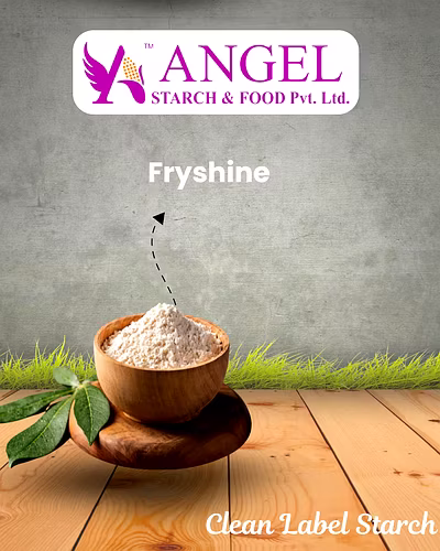 Fryshine - Clean Label Starch-2