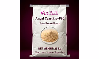 Yeast Protein Powder 90%