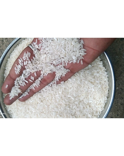 NON BASMATI RICE-2