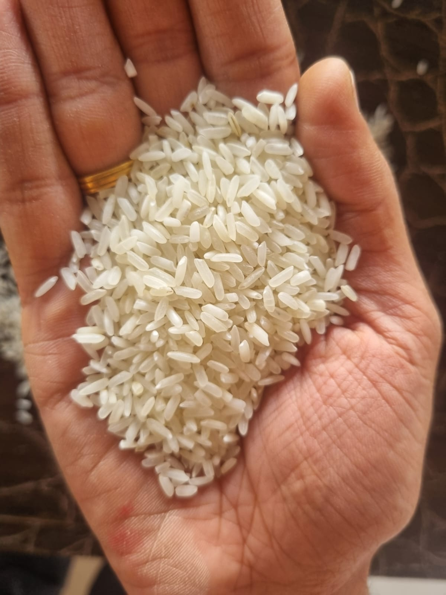 IR 64 5% NON BASMATI WHITE RICE-3