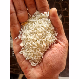 kesari gulab ir 64 5% non basmati white rice