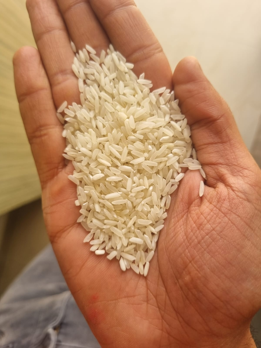 IR 64 5% NON BASMATI WHITE RICE-12653105