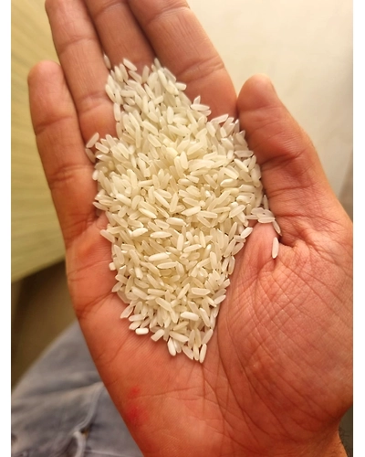 IR 64 5% NON BASMATI WHITE RICE-12653105