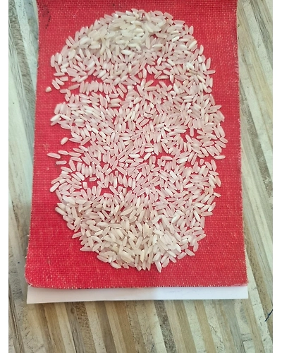 IR 64 5% NON BASMATI WHITE RICE-1