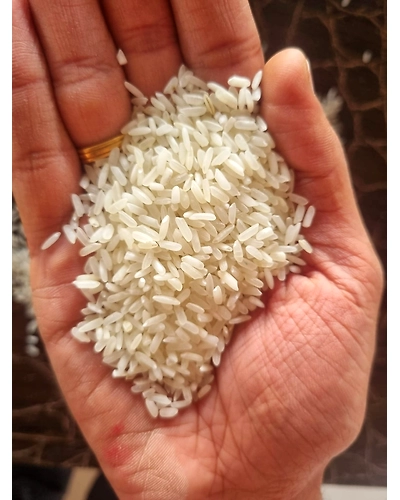 IR 64 5% NON BASMATI WHITE RICE-2