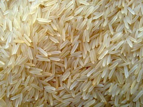 1121 Golden Rice-2