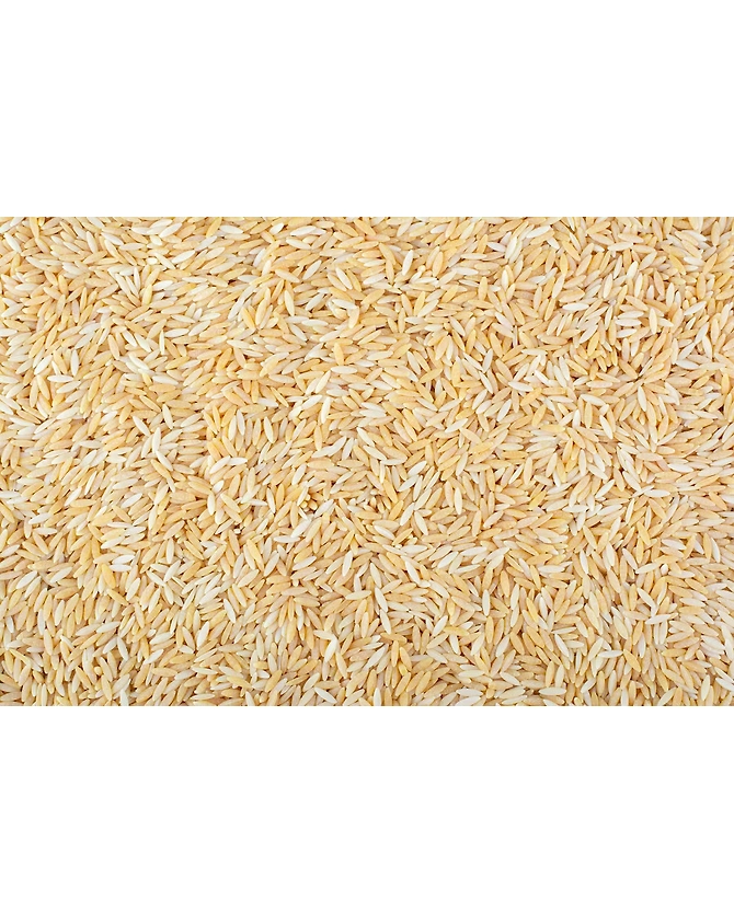 1718 Sella Rice-1