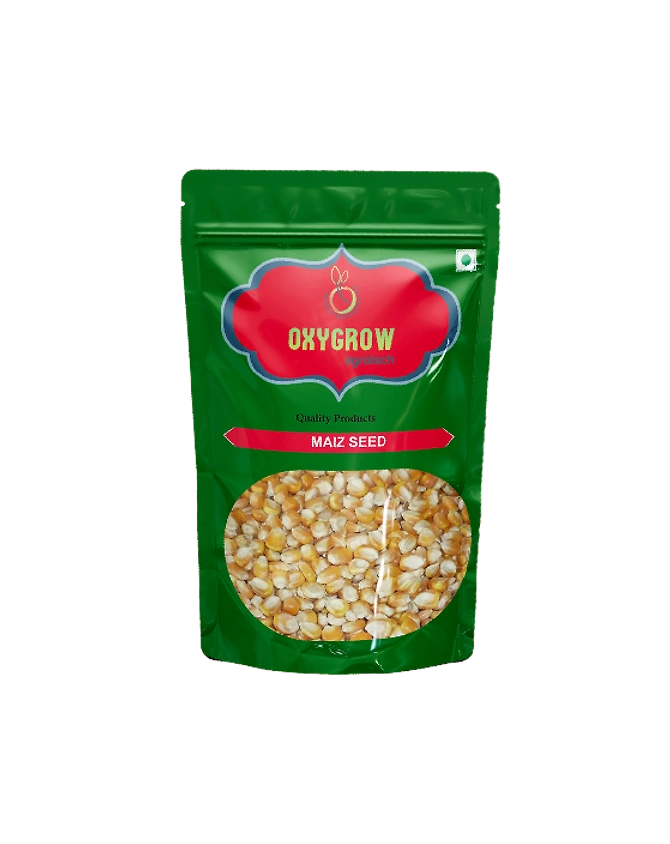 Maize Seeds-3