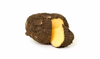 Elaphant Yam