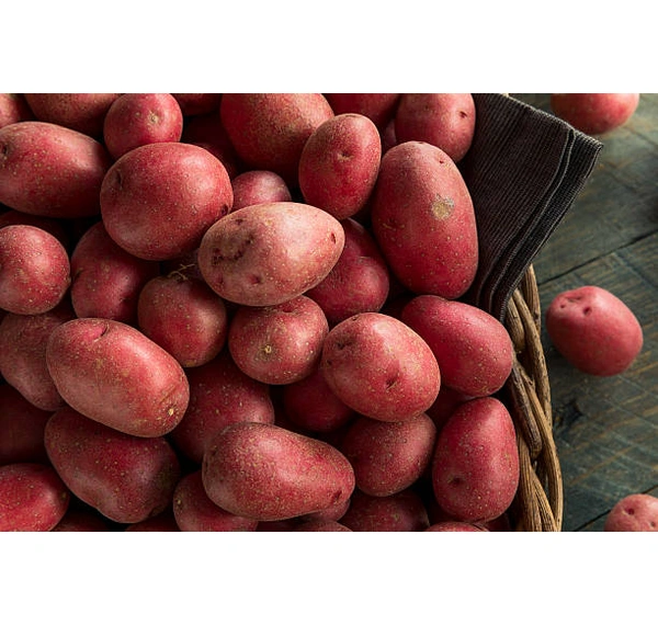 Indian Red Potato