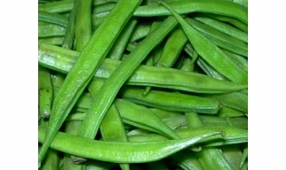 Cluster Beans