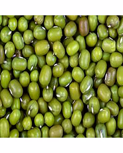 Green Gram-11732762