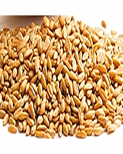 Wheat Flour-11736904