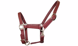 Premium Leather Horse Halter with Brass Hardware