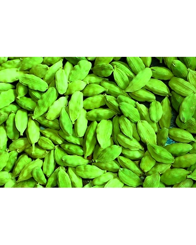 SPICES GREEN CARDAMOM-3