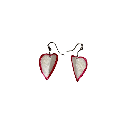 Big fish scale earring set-2