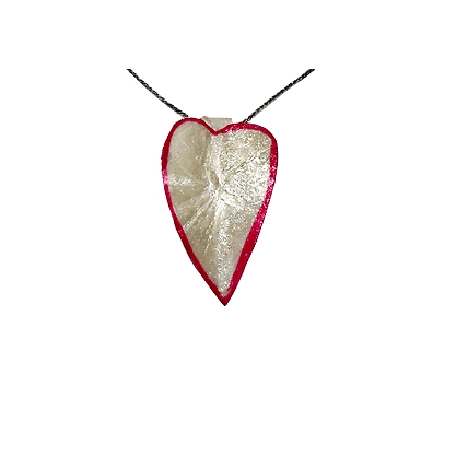 Big fish scale earring set-4