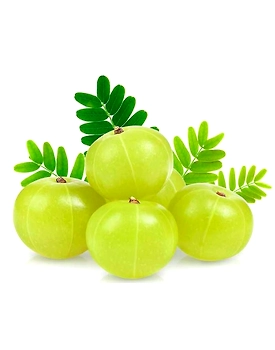 AMLA POWDER