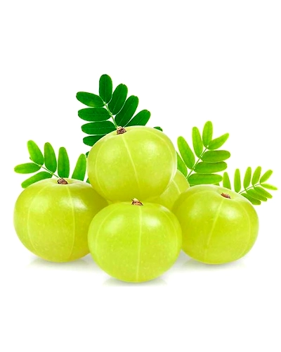 AMLA POWDER-11583872