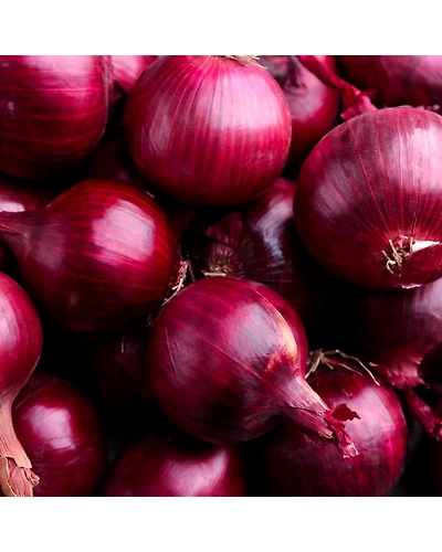 Onion-11585060