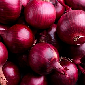 Onion