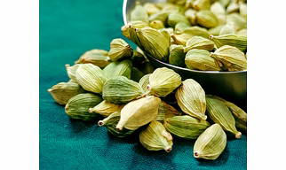 Cardamom
