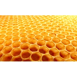 Honeycomb Adhesive