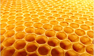 Honeycomb Adhesive